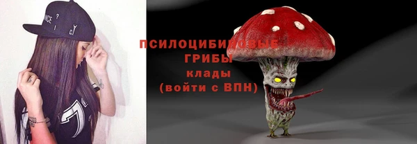 мет Ладушкин