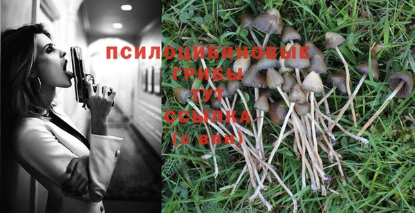 а пвп мука Лабытнанги