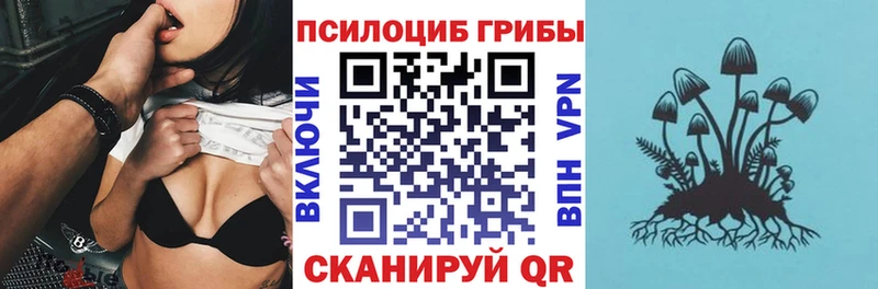 магазин  наркотиков  Новоалександровск  Псилоцибиновые грибы Cubensis 