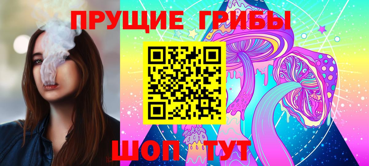 Галлюциногенные грибы GOLDEN TEACHER  Галлюциногенные грибы Psilocybe  Новоалександровск 