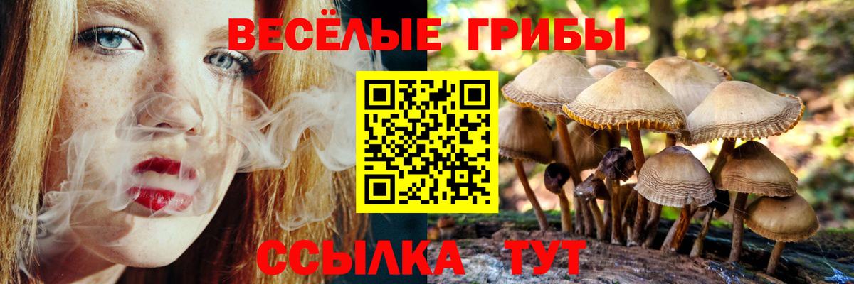 Псилоцибиновые грибы мухоморы Новоалександровск